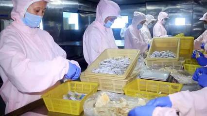 半岛味道献礼 一份满载象山风情的海鲜礼包，献给最珍贵的您